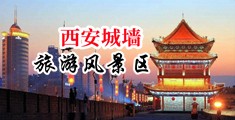 欧美性爱大逼网中国陕西-西安城墙旅游风景区